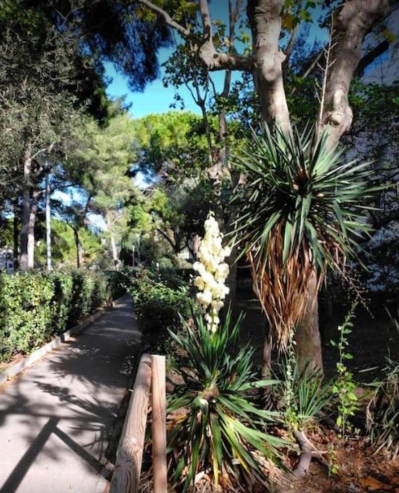 Studio Marseille Calanques 외부 사진